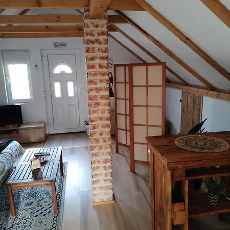 Marija Zemun Zemun Polje